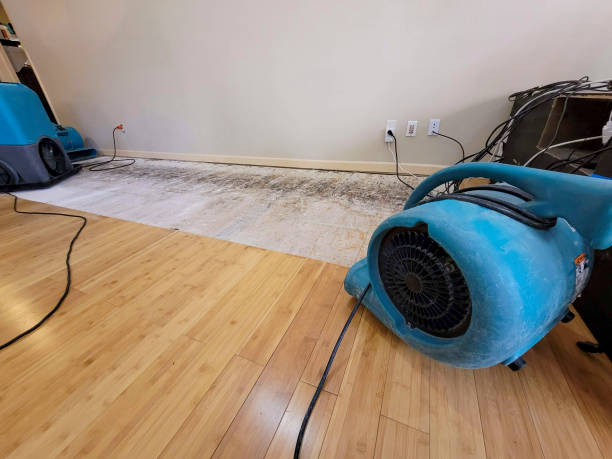 Professional Water Removal technician working in Maplewood, NJ
